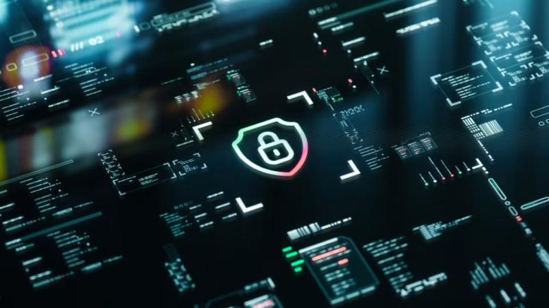 沽源县软件开发公司